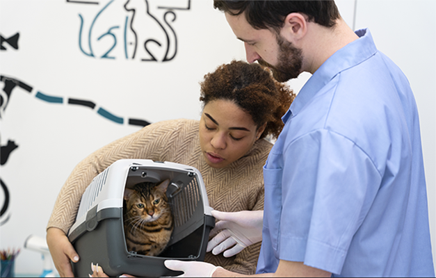 Professionnel avec animal